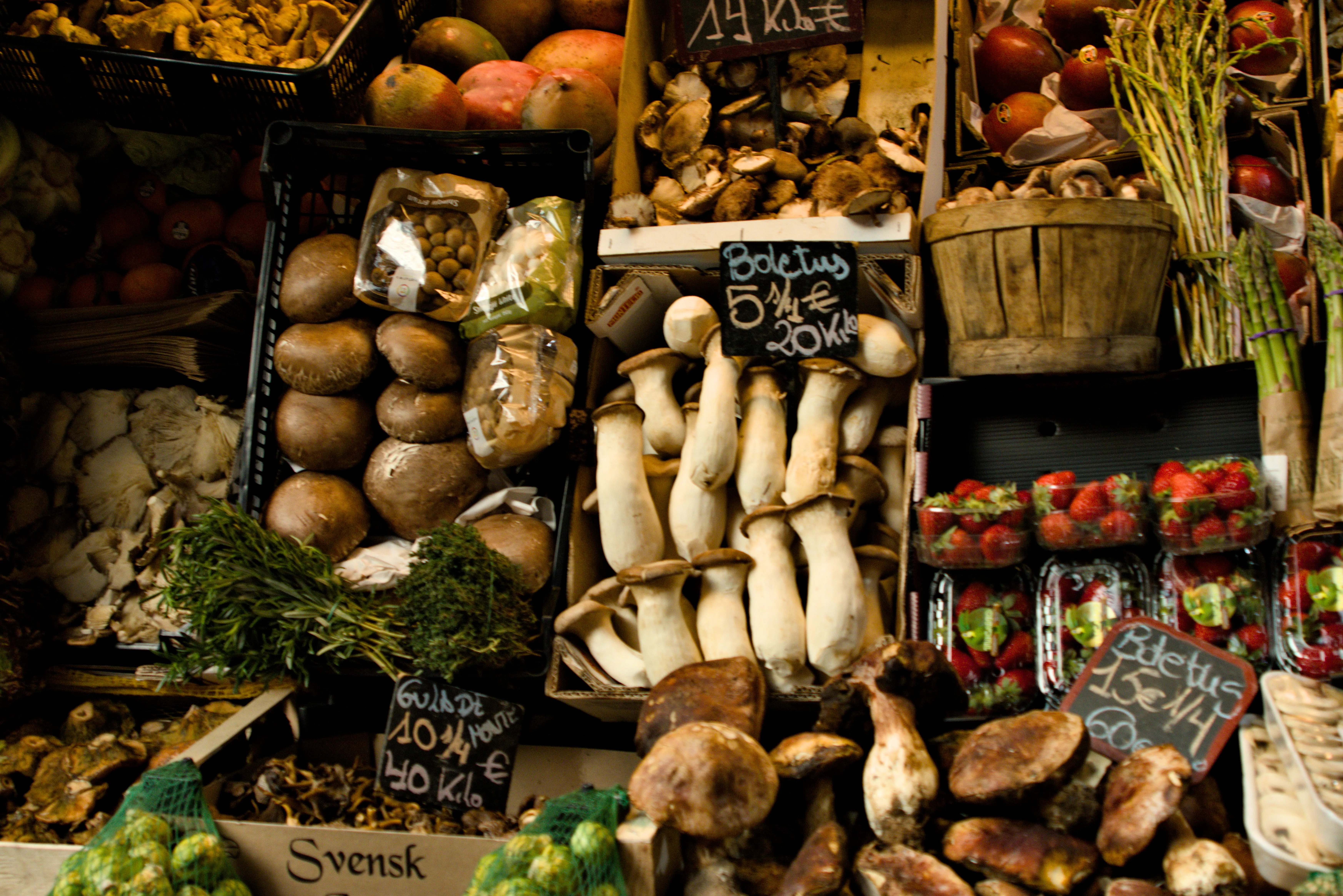 Tamron 28-300mm F3.5-6.3 (EF) - _I4A5069.webp